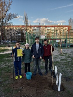   Акция «Посади дерево»